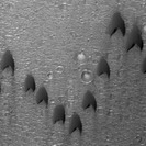 Barchan Dunes on Mars