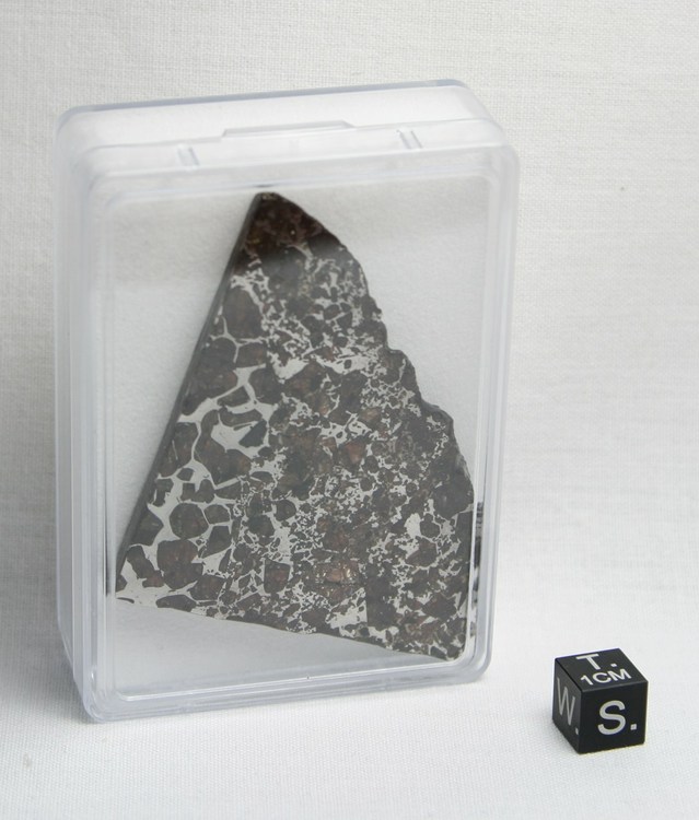 Seymchan slice - 49.2 g