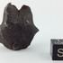 Sikhote-Alin 50.1 g