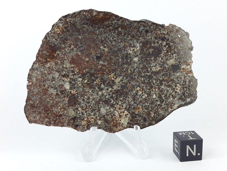 NWA 869 slice 40.3 g