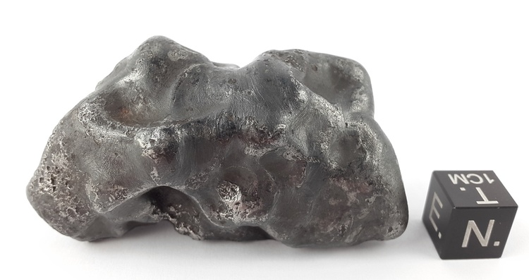 Sikhote-Alin 137.9 g