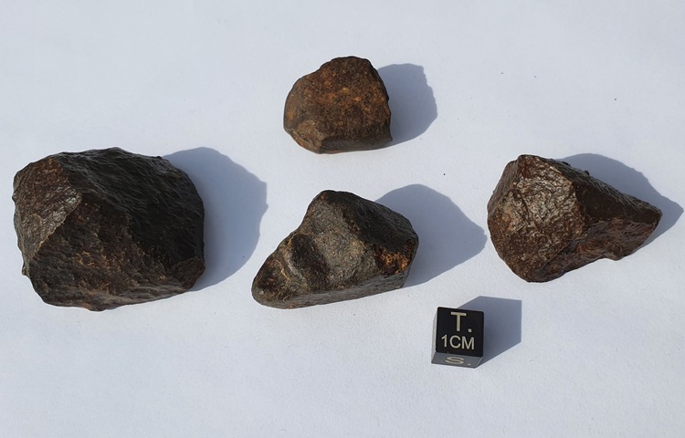 4 NWA XXX Meteorites - 156.6 g in Total