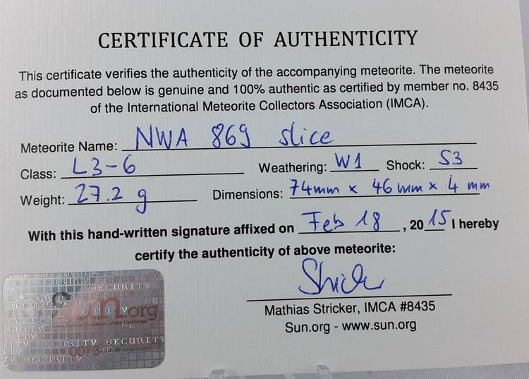 NWA 869 slice - 27.2 g